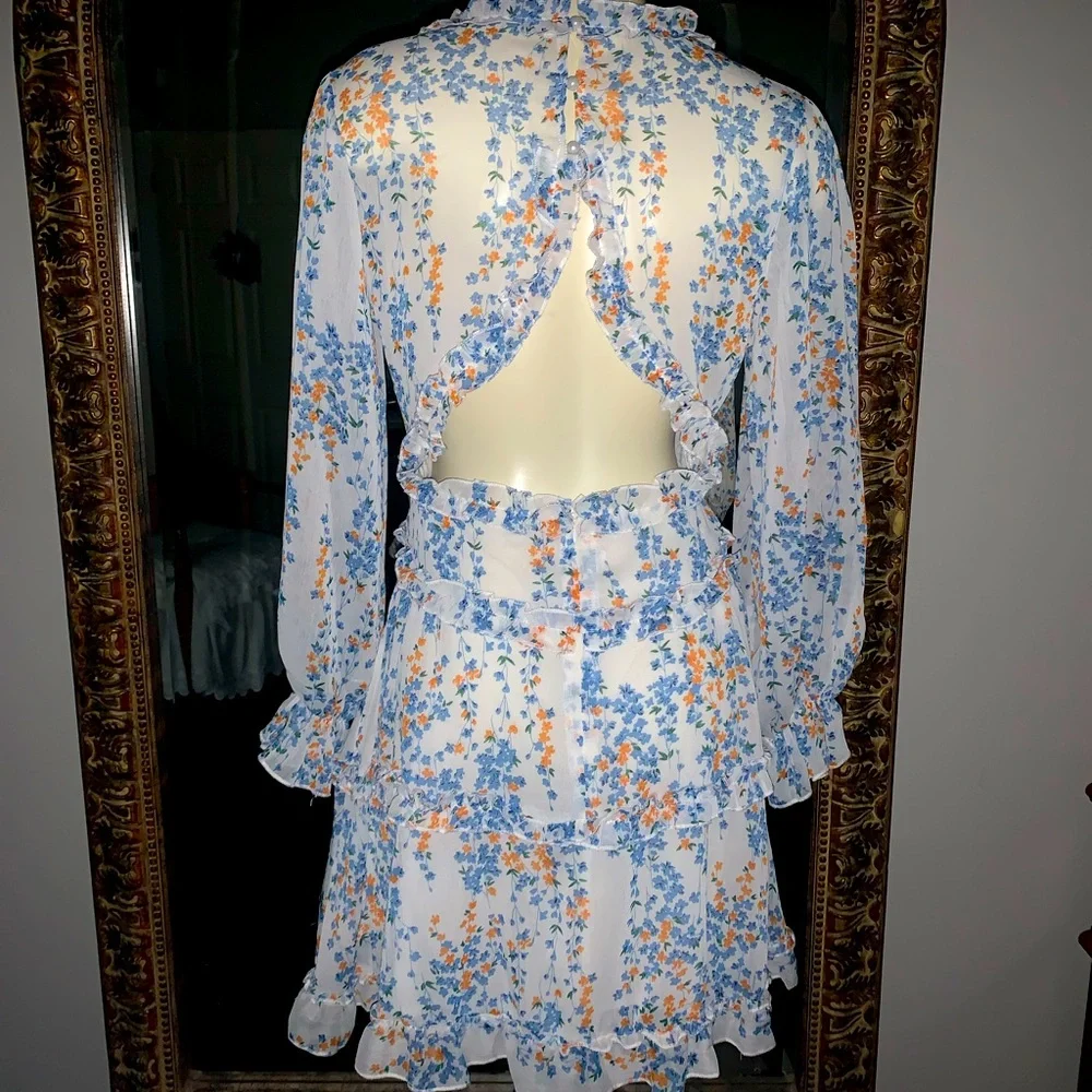 Gorgeous DITSY floral cutout back dress with the cutest details Small - Picture 6 of 10